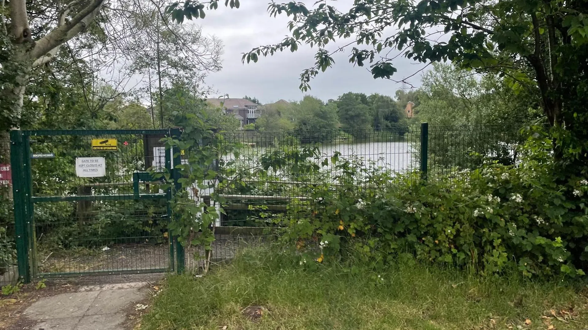 Nature City Blend Cozy 3 Br Belfast Dom wakacyjny